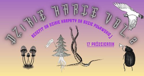 DZIKIE HARCE | BENEFIT NA DZIKIE KARPATY 